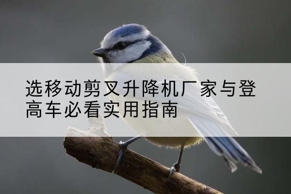 黄梅电动升降机厂家-选移动剪叉升降机厂家与登高车必看实用指南