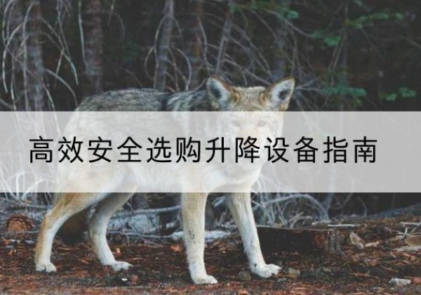 黄梅升降货梯厂家推荐-*安全选购升降设备指南