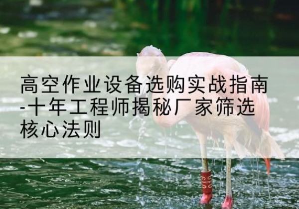 黄梅剪叉式升降机厂家-高空作业设备选购实战指南-十年工程师揭秘厂家筛选核心法则