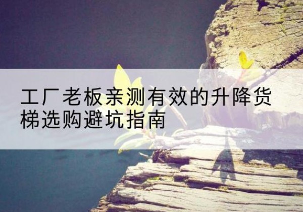 黄梅升降货梯怎么选-工厂老板亲测有效的升降货梯选购避坑指南